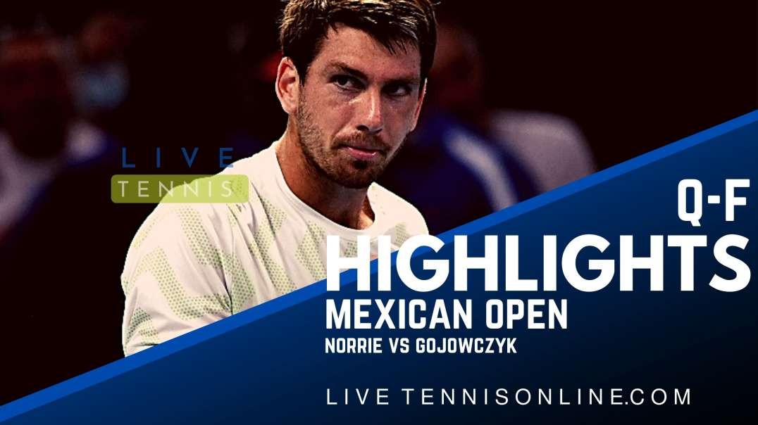 Norrie vs Gojowczyk Q-F Highlights 2022 | Mexican Open