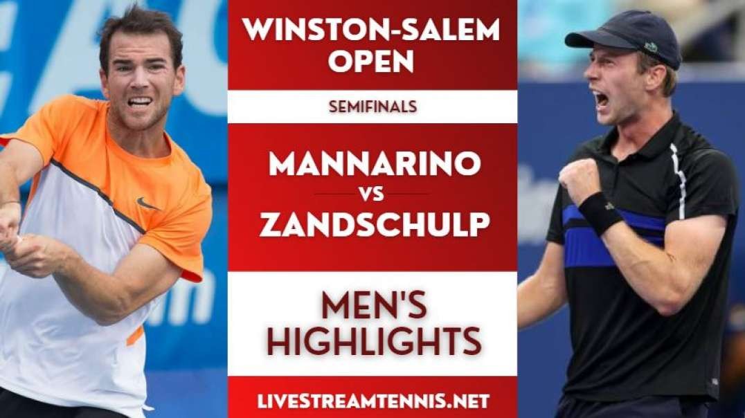 Winston-Salem Open ATP Semifinal 2 Highlights 2022